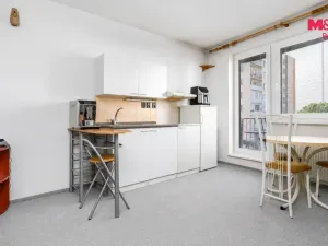 Pronájem bytu 1+kk, Pardubice - Zelené Předměstí, nábřeží Závodu míru, 32 m2