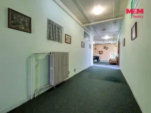 Prodej obchodního prostoru, Černošín, 1100 m2