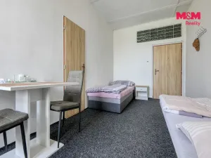 Prodej obchodního prostoru, Černošín, 1100 m2