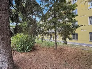 Pronájem bytu 2+1, Tišnov, Jamborova, 50 m2