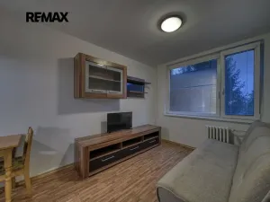 Pronájem bytu 1+kk, Poděbrady, V Aleji, 33 m2