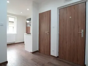 Pronájem bytu 1+kk, Ostrava, Hasičská, 40 m2