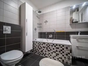 Prodej bytu 3+kk, České Budějovice - České Budějovice 5, Dobrovodská, 62 m2