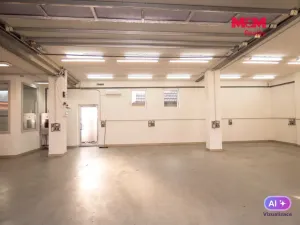 Pronájem skladu, Ostrava - Krásné Pole, Družební, 120 m2