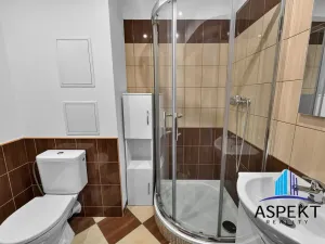 Pronájem bytu 1+kk, Praha - Podolí, Kaplická, 27 m2