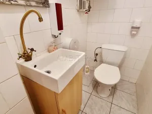 Pronájem kanceláře, Praha - Řepy, Žalanského, 60 m2