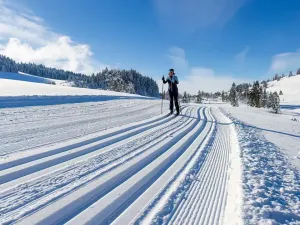 Prodej bytu 2+kk, Loučná pod Klínovcem, 51 m2