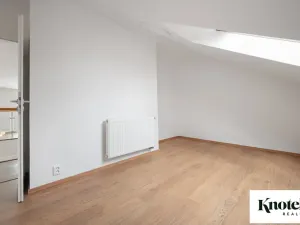 Pronájem bytu 6+kk a větší, Brno, Štefánikova, 400 m2