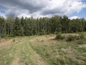 Prodej pozemku, Ralsko - Kuřívody, 1255 m2