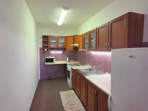 Prodej rodinného domu, Havířov, Ovocná, 355 m2