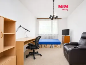 Prodej bytu 3+1, Hradec Králové - Pražské Předměstí, Jungmannova, 83 m2