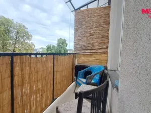 Pronájem bytu 1+1, Mladá Boleslav - Mladá Boleslav III, S. K. Neumanna, 45 m2