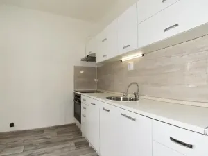 Pronájem bytu 2+1, Chomutov, Haškova, 50 m2