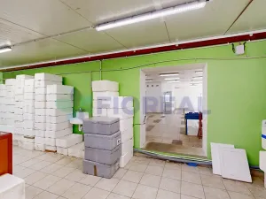 Prodej výrobních prostor, Lhůta, 320 m2