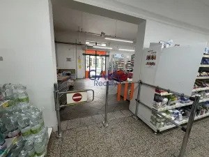 Prodej obchodního prostoru, Jemnice, Tyršova, 481 m2