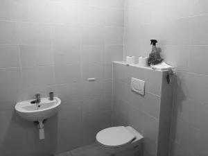 Pronájem obchodního prostoru, Brno - Zábrdovice, Cejl, 135 m2