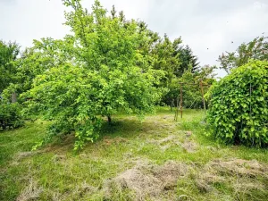 Prodej rodinného domu, Ráječko, Nová, 65 m2