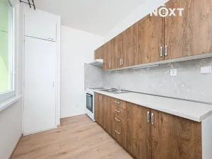 Pronájem bytu 1+1, Heřmanův Městec, V Lukách, 34 m2