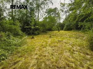 Prodej chalupy, Cvikov, 185 m2