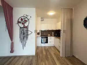 Prodej bytu 2+kk, České Budějovice, U Branišovského lesa, 52 m2