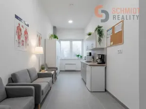 Pronájem ordinace, Břeclav, U Nemocnice, 234 m2