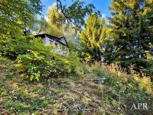 Prodej chalupy, Lopeník, 41 m2