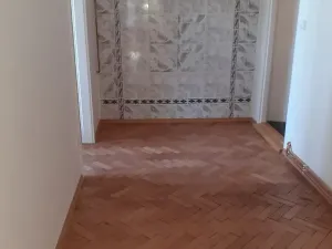 Pronájem bytu 1+1, Plzeň, Stehlíkova, 64 m2