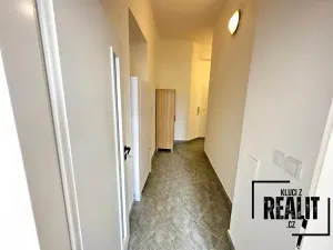 Pronájem bytu 1+kk, Praha - Žižkov, Seifertova, 50 m2