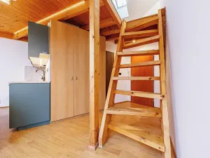 Pronájem bytu 1+kk, Olomouc, Masarykova třída, 33 m2