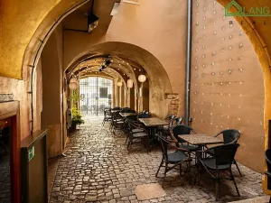 Pronájem restaurace, Brno, Jakubská, 233 m2