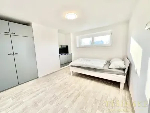 Pronájem bytu 1+1, Český Těšín, Sídliště ONV, 30 m2