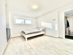 Pronájem bytu 1+1, Český Těšín, Sídliště ONV, 30 m2