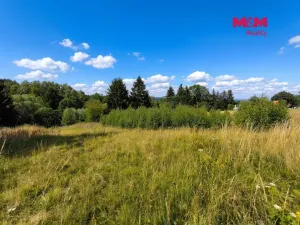 Prodej louky, Mikuleč, 748 m2