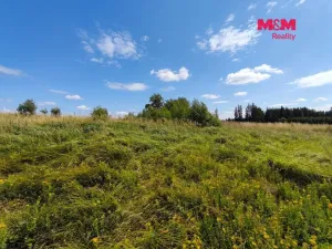Prodej louky, Mikuleč, 748 m2