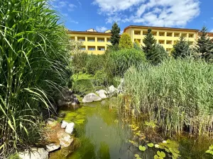 Prodej bytu 1+kk, Frymburk, 30 m2