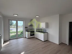 Pronájem bytu 1+kk, Dobřany, Denksteinova, 86 m2