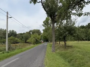 Prodej pole, Nové Město pod Smrkem, 8555 m2