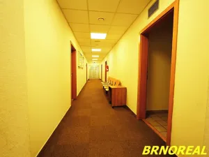Pronájem kanceláře, Brno, Příkop, 20 m2
