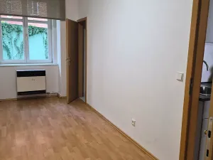 Pronájem bytu 2+1, Praha - Holešovice, V háji, 51 m2