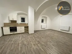 Pronájem bytu 1+kk, Mělník, Bezručova, 48 m2