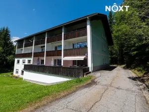 Prodej bytu 2+kk, Hluboká nad Vltavou, 45 m2