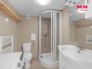Prodej zemědělského objektu, Bílý Újezd - Masty, 212 m2