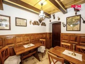 Pronájem ubytování, Frýdlant nad Ostravicí - Frýdlant, U letohrádku, 137 m2