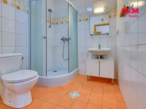 Prodej zemědělské usedlosti, Chocenice, 350 m2