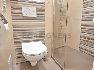 Pronájem bytu 1+1, Olomouc, Dolní náměstí, 53 m2