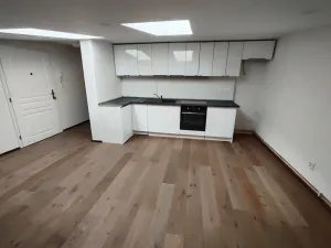 Pronájem bytu 3+kk, Olomouc, tř. Svornosti, 42 m2