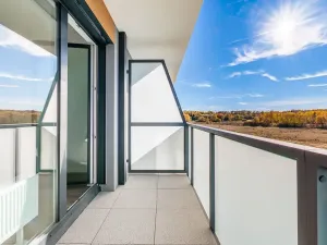 Prodej bytu 1+kk, České Budějovice, U Branišovského lesa, 46 m2