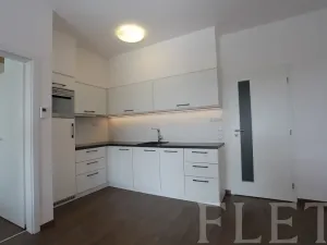 Pronájem bytu 2+kk, Praha - Karlín, U Mlýnského kanálu, 57 m2