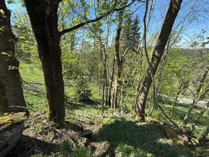 Prodej pozemku pro bydlení, Kořenov, 12296 m2