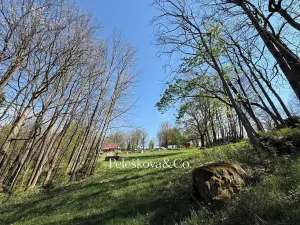Prodej pozemku pro bydlení, Kořenov, 12296 m2